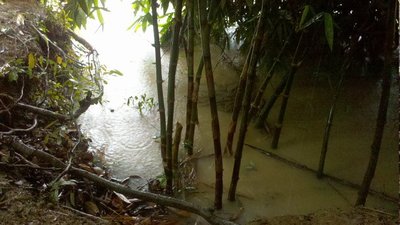 photo , 400x225 pixel , 53,679 bytes.