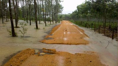 photo , 400x225 pixel , 50,160 bytes.