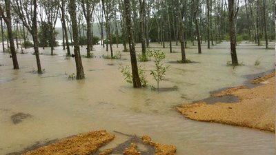 photo , 400x225 pixel , 50,640 bytes.