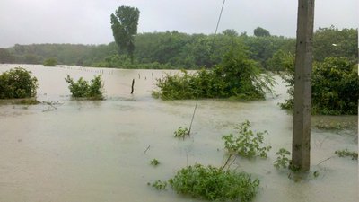 photo , 400x225 pixel , 39,490 bytes.