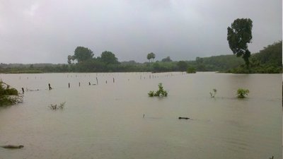 photo , 400x225 pixel , 23,305 bytes.