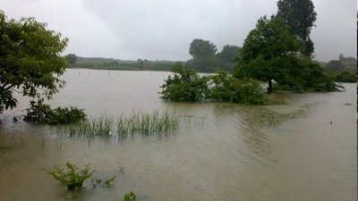 photo , 400x225 pixel , 37,502 bytes.